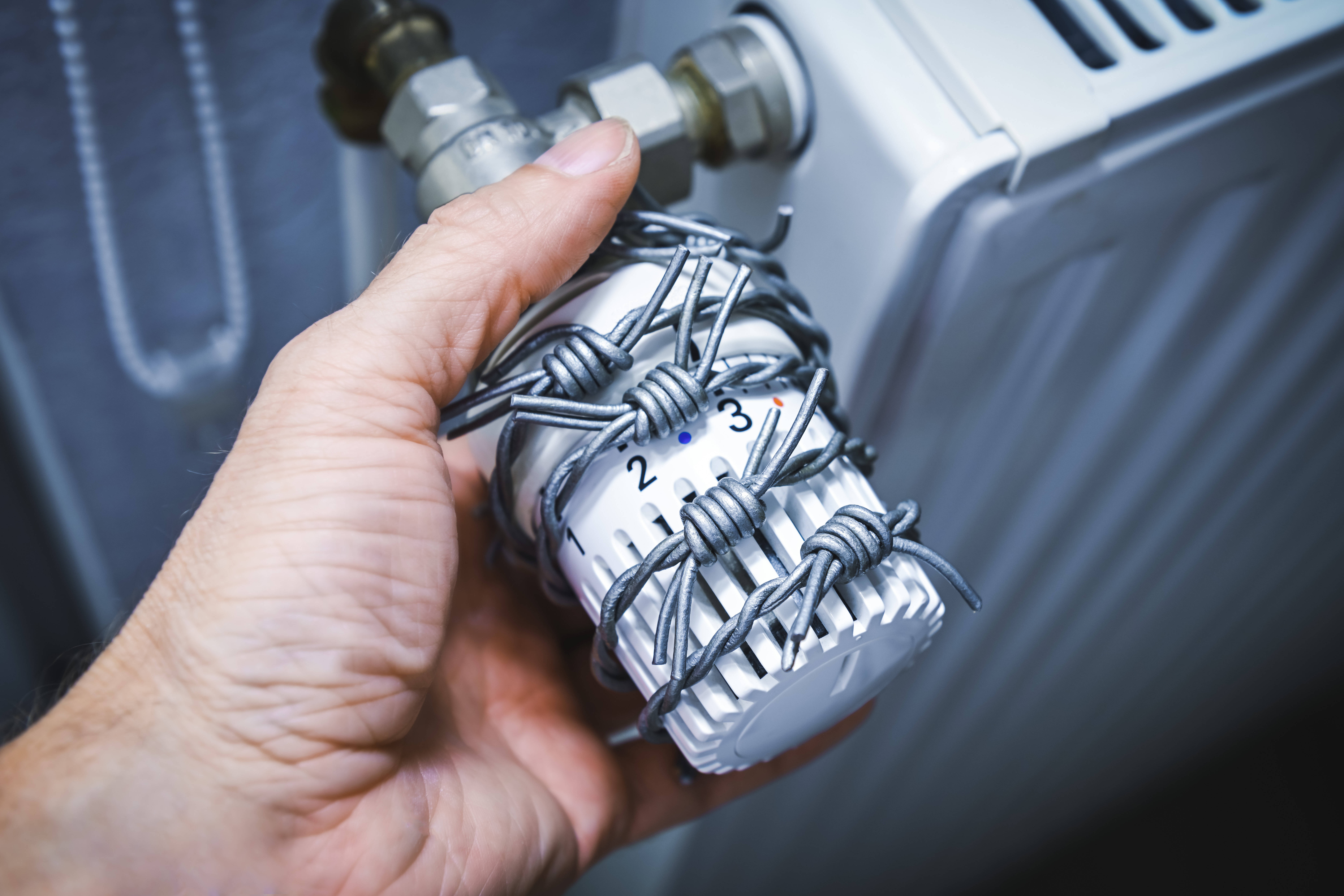 Schock für viele Bundesbürger! Müssen Menschen ihre Öfen ausbauen in der Energiekrise?