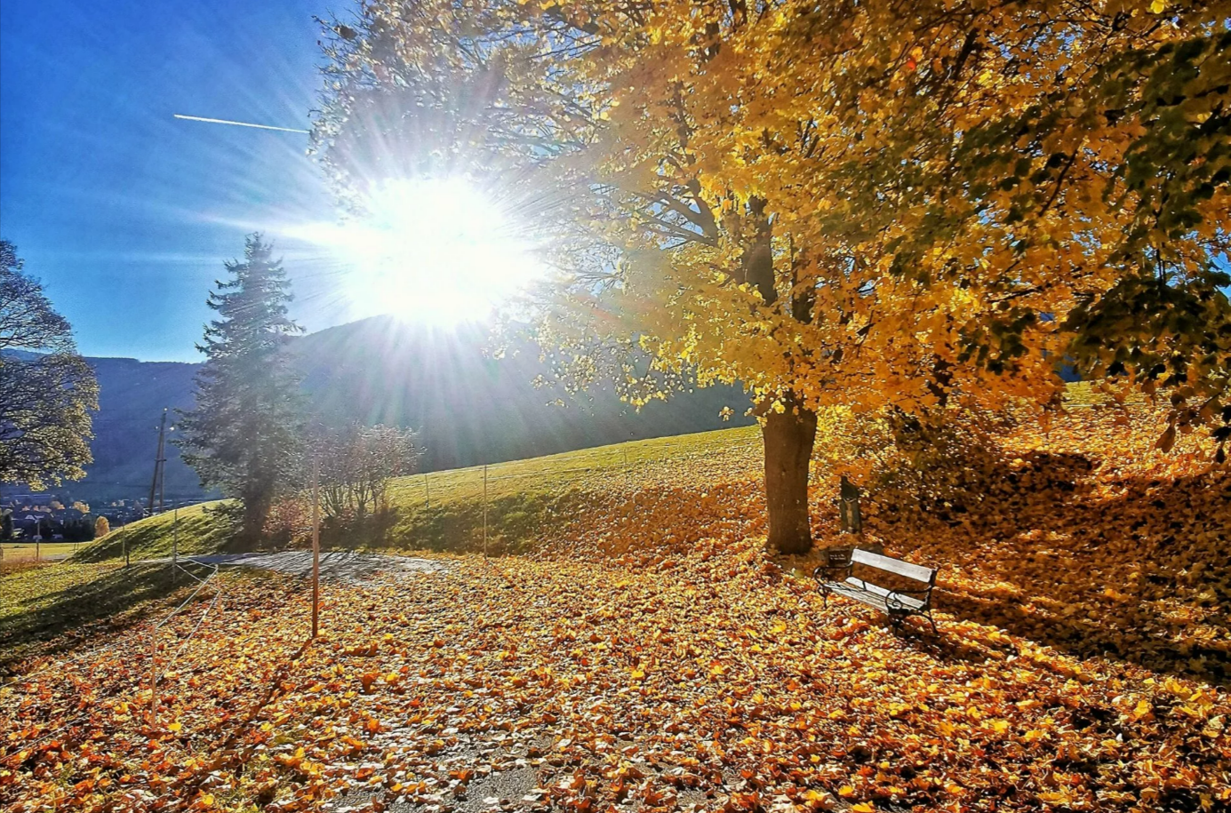 Wärme-Hammer bis in den November! Wetterprognosen ohne Winterjacke und Handschuhe!