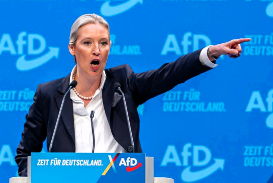 Alice Weidel will alle Windräder abreißen! Stromknappheit durch AfD-Pläne drohen