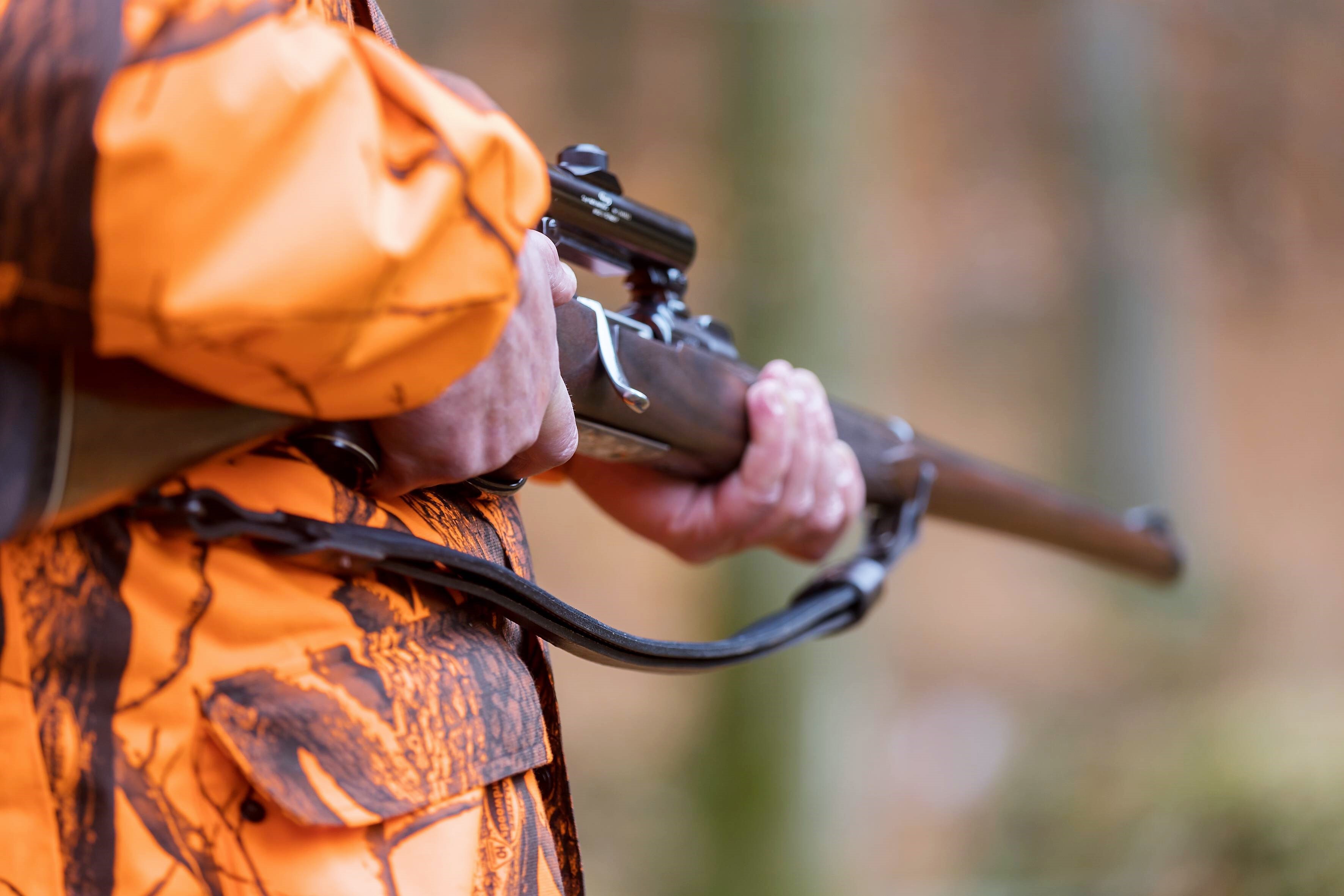 Deutscher Bär tötet Jogger! Nach Bären-Attacke auf Jogger - Schwester von Problembär Bruno soll der "Mörder" sein