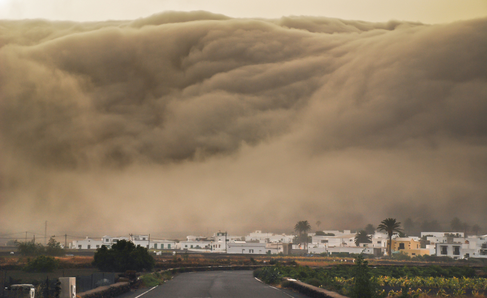 Massive Wave Sweeps Tourists Into the Sea! Spanish Holiday Island Becomes a Nightmare